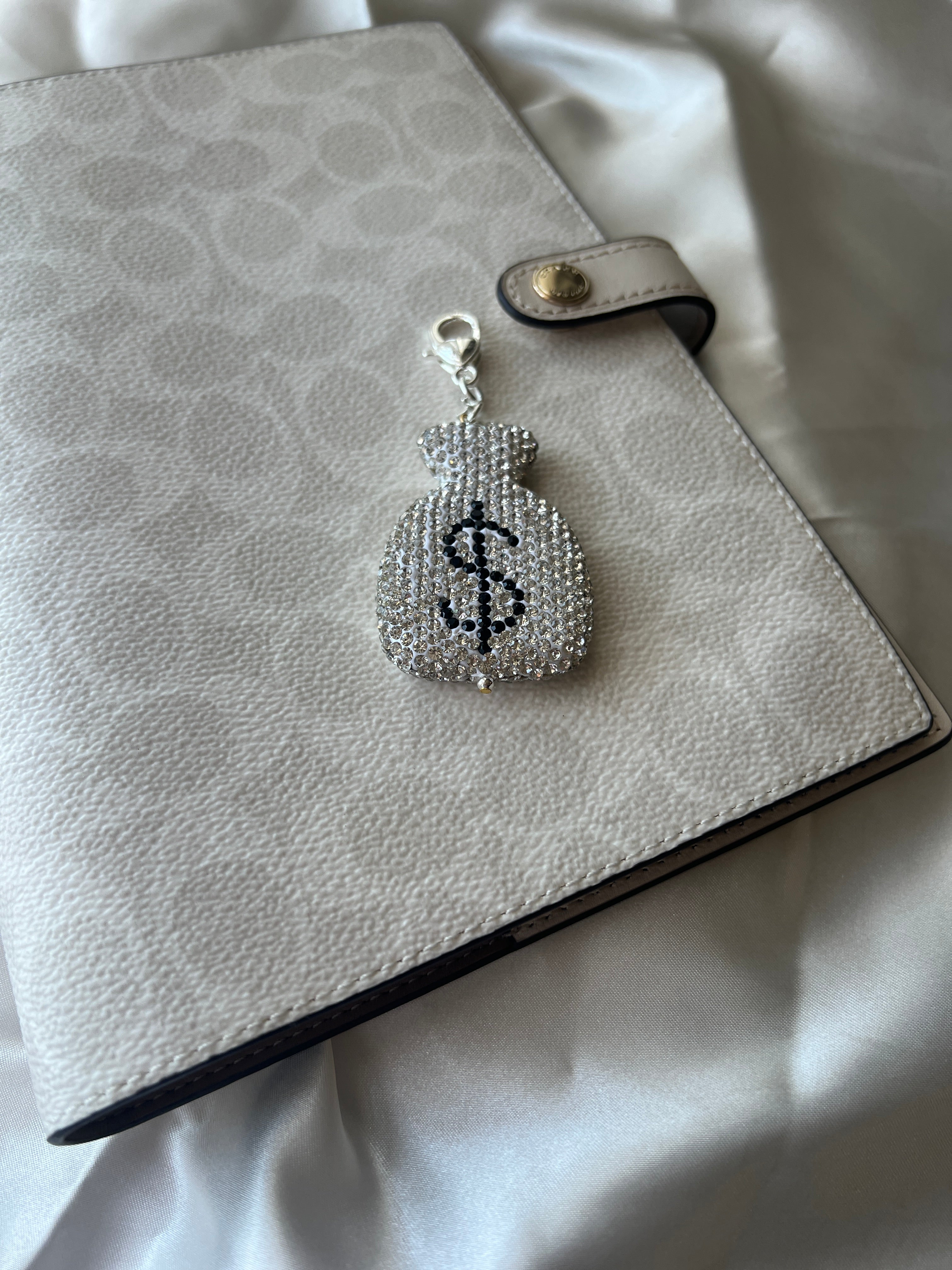 Silver Bling Money Bag Planner Clip Charm