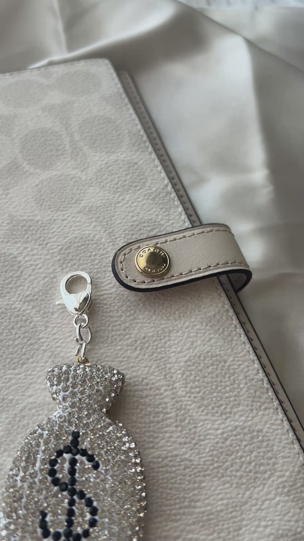 Silver Bling Money Bag Planner Clip Charm