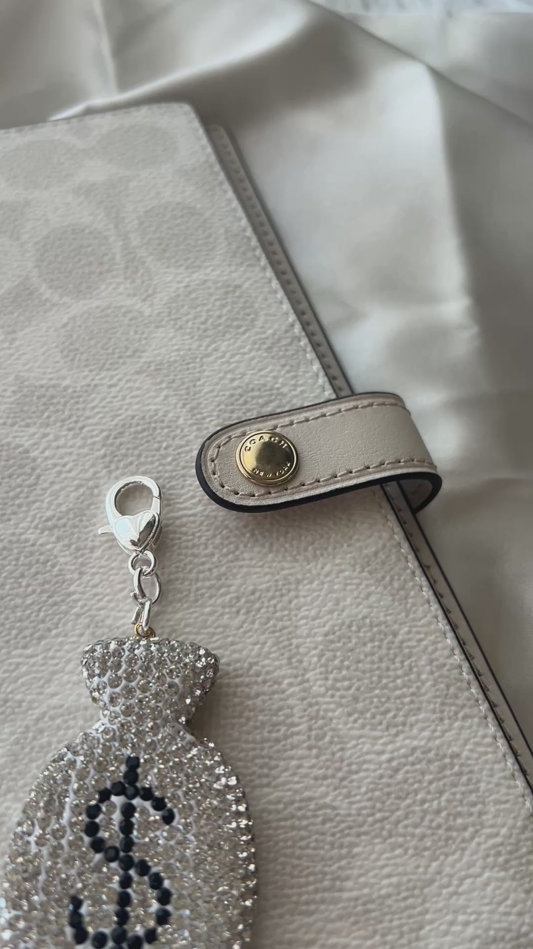 Silver Bling Money Bag Planner Clip Charm